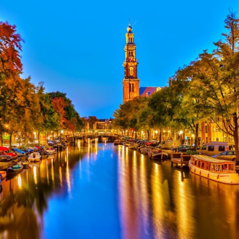 Türk Hava Yolları ile