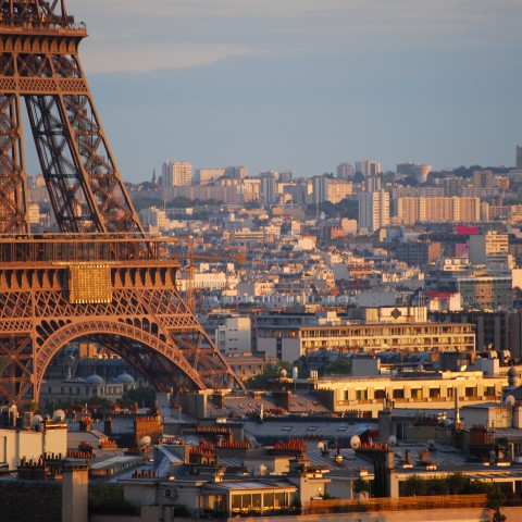 Türk Hava Yolları ile