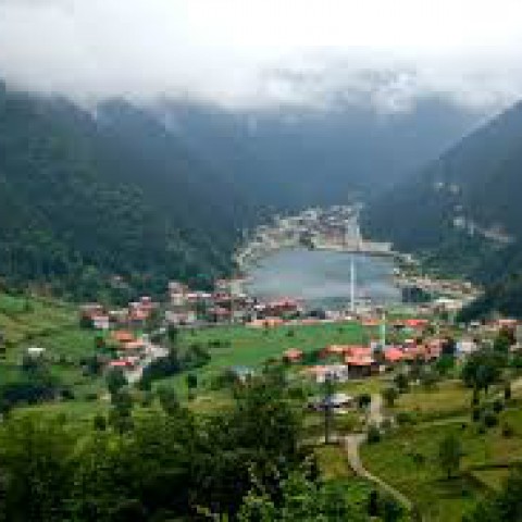 Rize-Trabzon-Ordu-Artvin